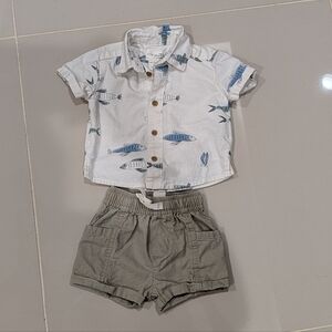 Baby Shirt and Shorts Set